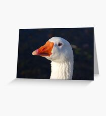 Embden Goose Greeting Card