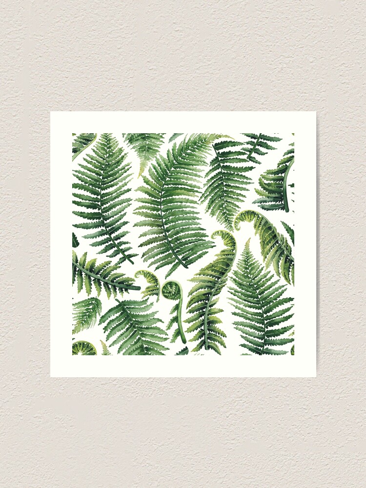 Watercolor Fern Leaves" Art Print By Glazkova | Redbubble