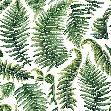 Vorschaubild zum Design Aquarell Farnblätter von Ekaterina Glazkova