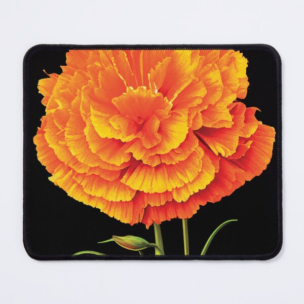 Item preview, a large orange flower on a black background designed and sold by DesignAtYO.