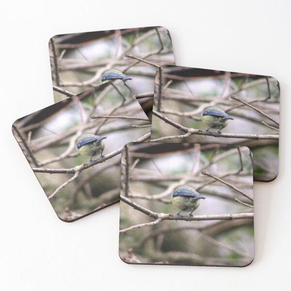 Item preview, perching designed and sold by KathleenDawson.