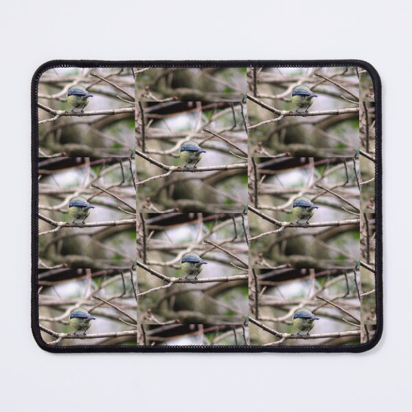 Item preview, perching designed and sold by KathleenDawson.