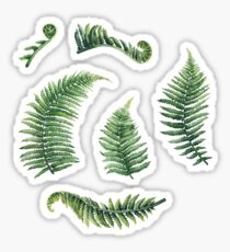 Aquarell Farn Blätter Sticker