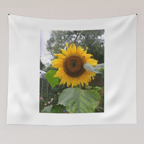 Item preview, Helianthus annuus -  Common Sunflower designed and sold by lezvee.