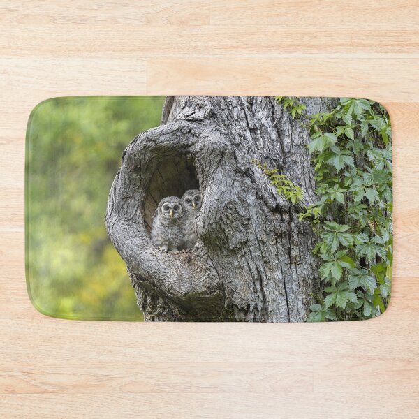Item preview, Eyes Tell The Story designed and sold by Puttaswamy Ravishankar.