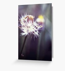 Light Greeting Card