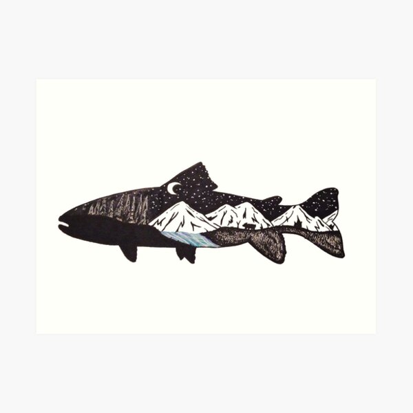 Mountain Trout Art Print