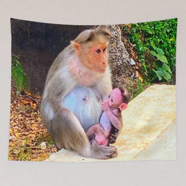 Item preview, Mother Monkey Baby designed and sold by Capture  Room.