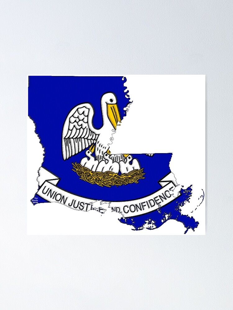 Louisiana Vintage State Flag T-Shirt