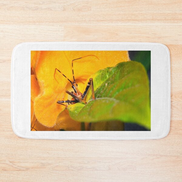 Item preview, Assassin Bug designed and sold by Geoff Wols.