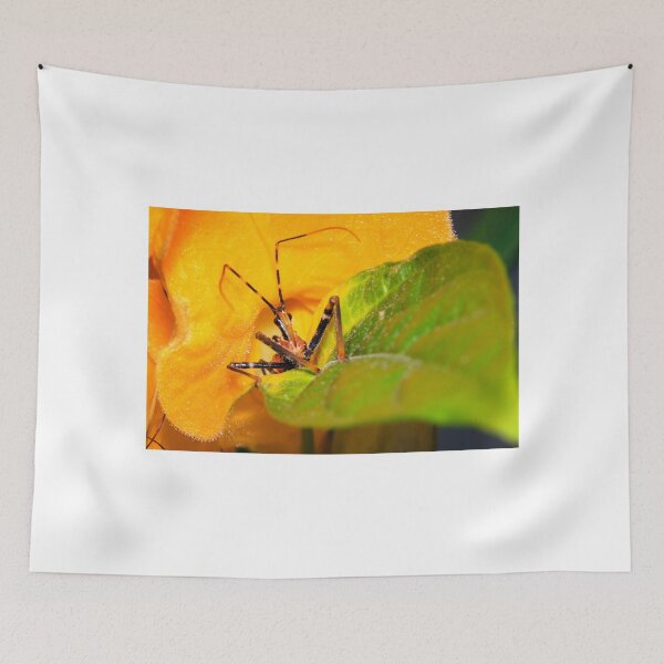Item preview, Assassin Bug designed and sold by Geoff Wols.