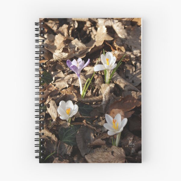 Item preview, Crocus flower field 4 original artwork designed and sold by paragonDesign28.