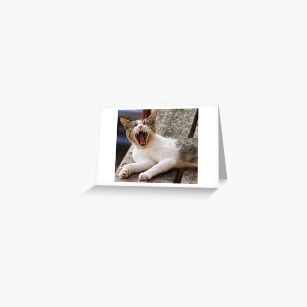 cute cat and nap time Greeting Card
