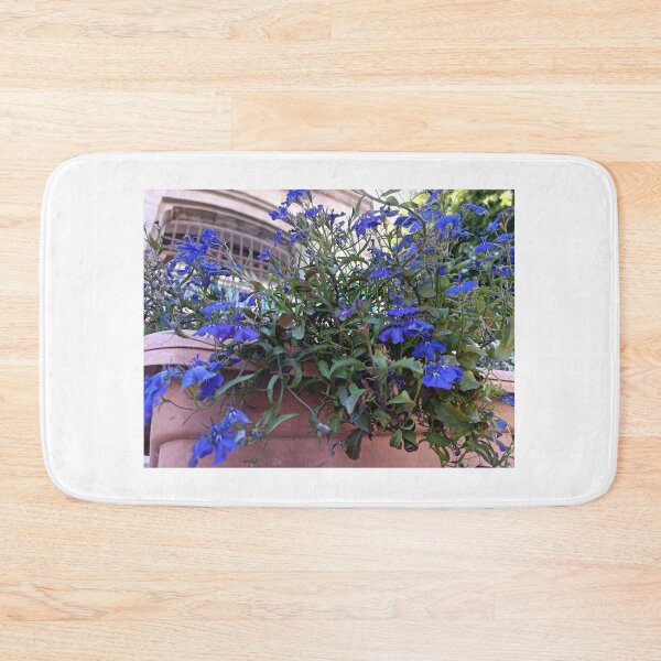 Item preview, Lobelia in Neve-Zedek designed and sold by GoldsteinART.