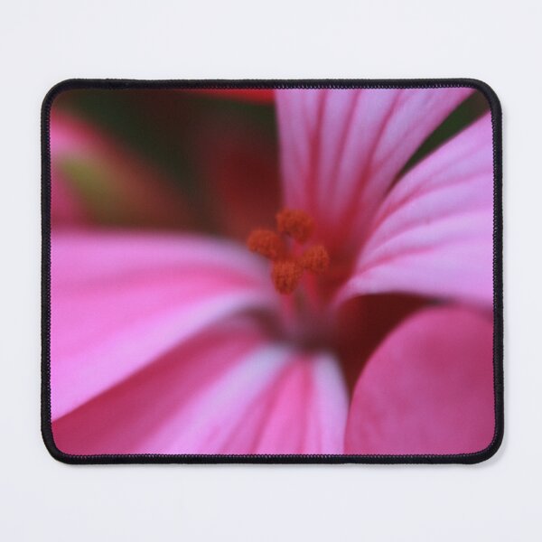 Item preview, flower designed and sold by Kate Harrison.