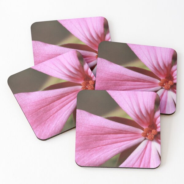 Item preview, flower macro designed and sold by Kate Harrison.