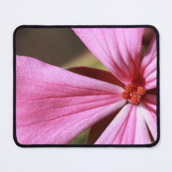 Item preview, flower macro designed and sold by Kate Harrison.