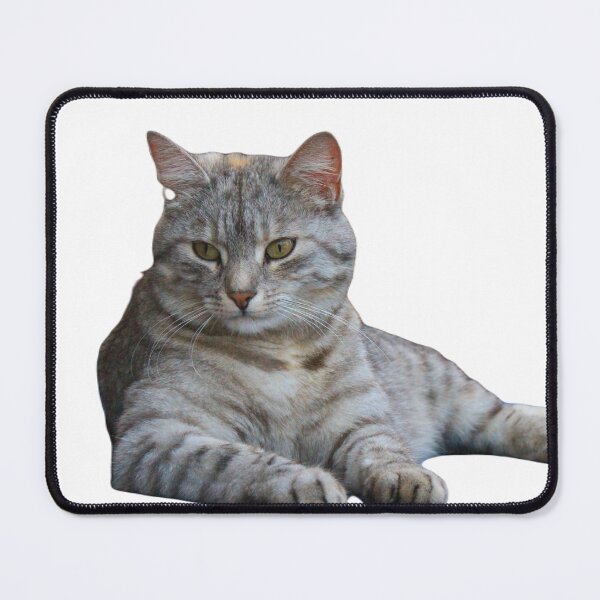 Item preview, cats designed and sold by graficraftshop.