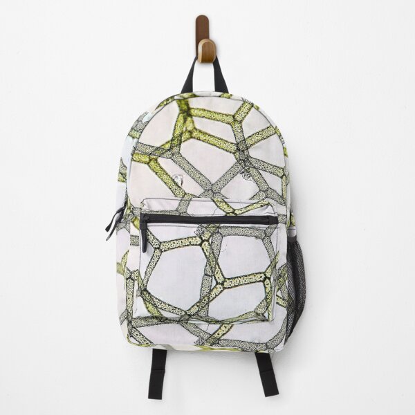 Item preview, reticulated algal thallus, live specimen; plant anatomy, microscopy designed and sold by everydaybotany.