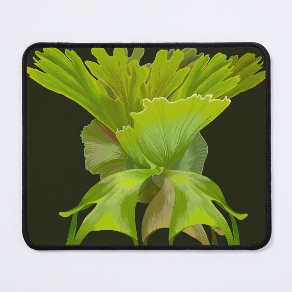 Item preview, giant staghorn fern illustration - platycerium wandae designed and sold by farhanfatich.