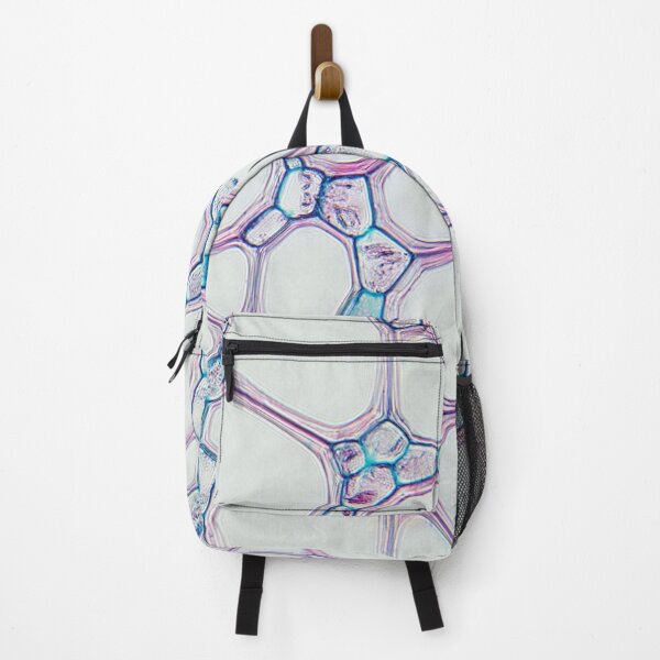 Item preview, fern rhizome, vein cells; plant anatomy, microscopy designed and sold by everydaybotany.