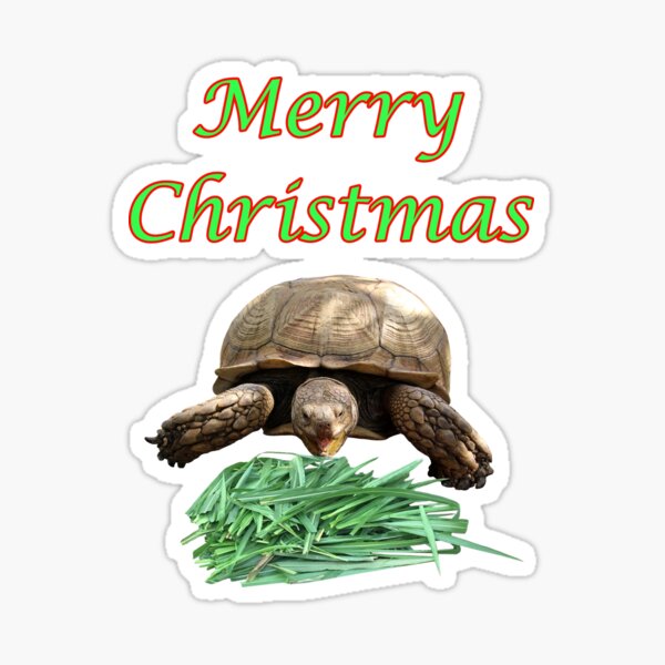 Item preview, Sulcata Tortoise - Merry Christmas designed and sold by misimichu.