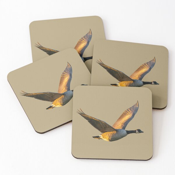 Item preview, Golden light Canada Goose designed and sold by Dalyndigital Photography.