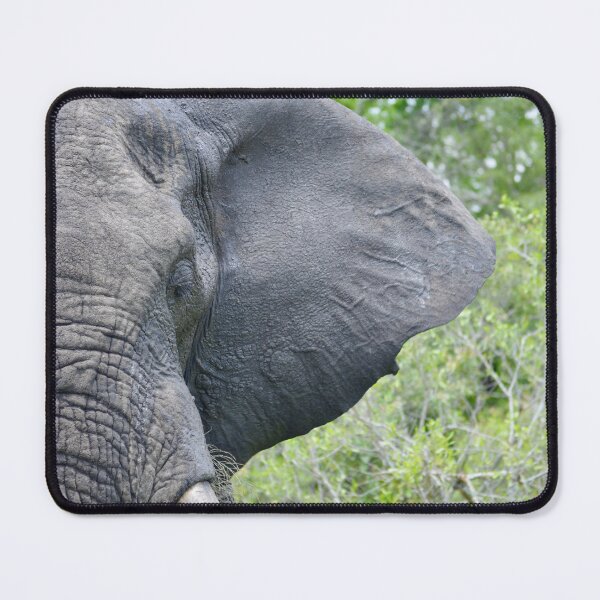 Item preview, African Elephant designed and sold by Biancavheer.