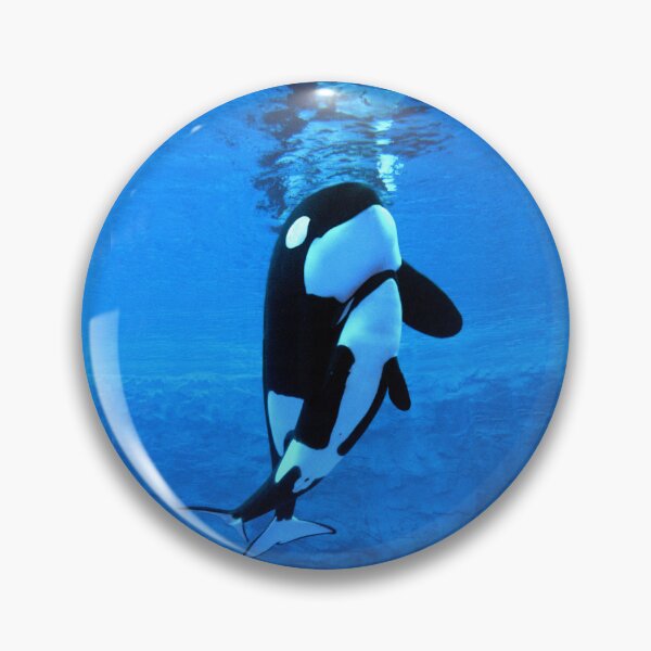 Item preview, Life Is Better With Orcas , new logo design designed and sold by Robo-toons.