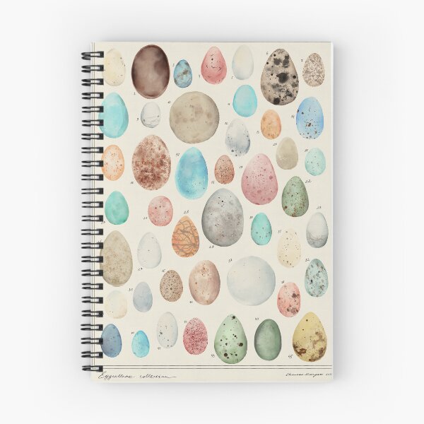 Item preview, Eggcellent collection - watercolour sketch art designed and sold by ChateauMargot.