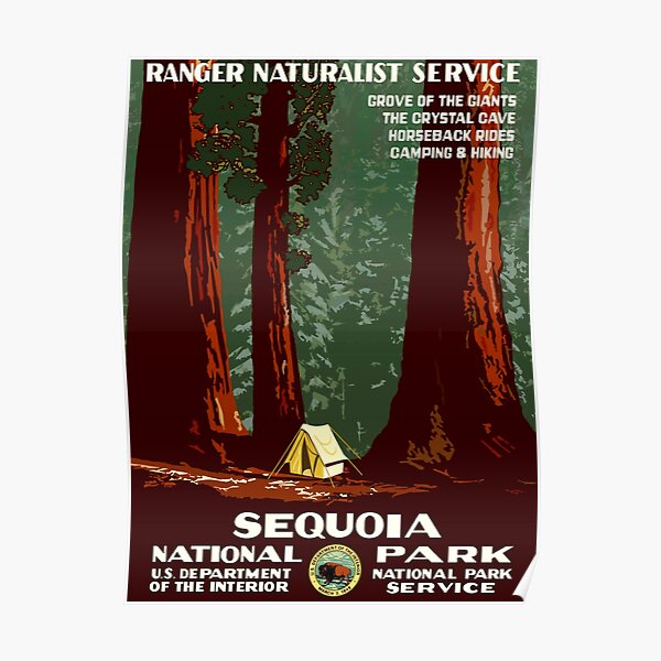 Sequoia National Park - WPA Vintage Poster Poster