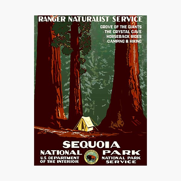 Sequoia National Park - WPA Vintage Poster Photographic Print