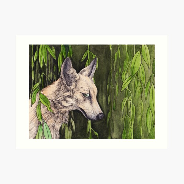 willow tree fox Art Print