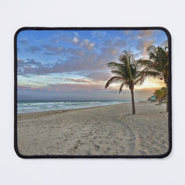 Item preview, High beach palm trees designed and sold by jams923.