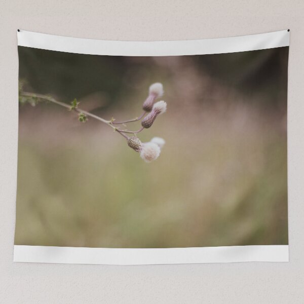 Item preview, Single wildflower 1 designed and sold by Sonja Martin Photography.