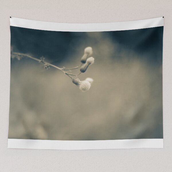 Item preview, Single Wildflower 2 designed and sold by Sonja Martin Photography.