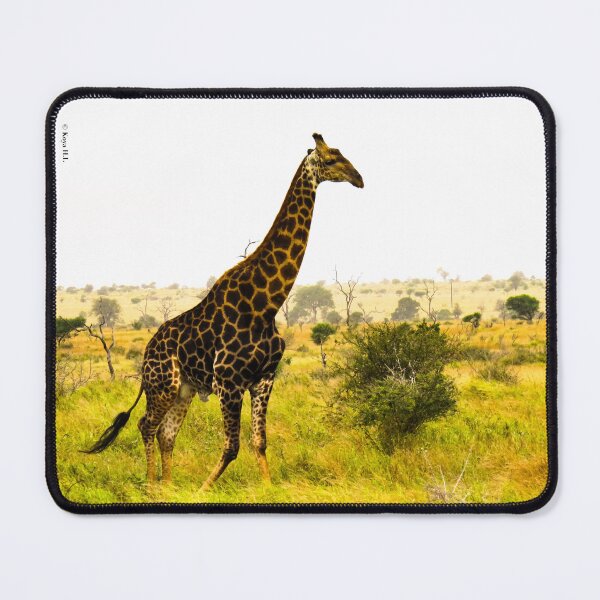 Item preview, Giraffe designed and sold by KoyaHL.
