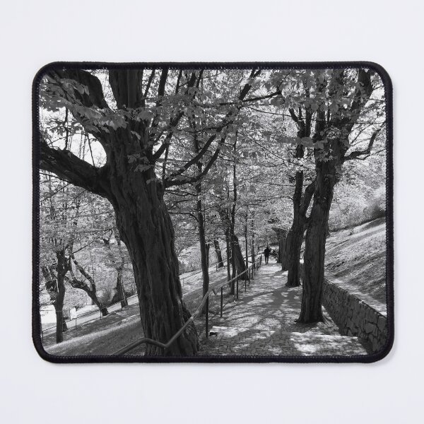 Item preview, The Hornbeam Avenue, Schlossberg, Graz 1 designed and sold by paulboizot.
