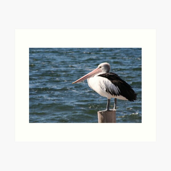Item preview, Pelican on a post designed and sold by Leanne Davis.