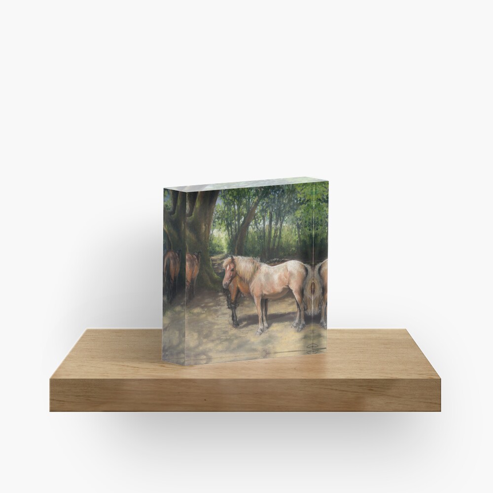 Item preview, Acrylic Block designed and sold by clairekitcher.