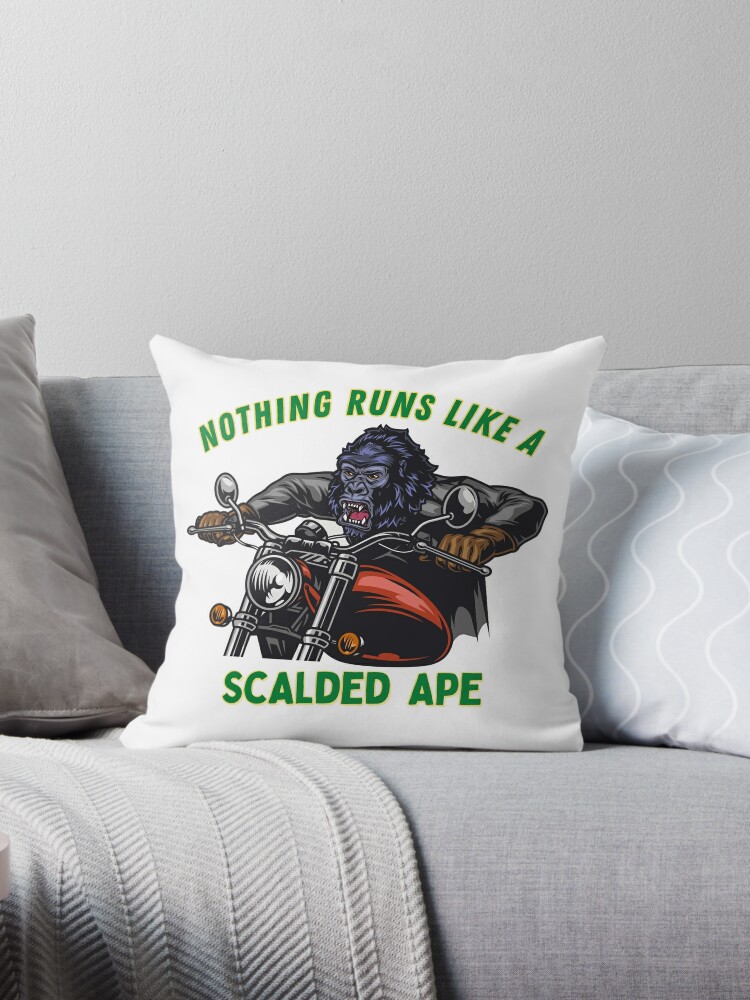 https://ih1.redbubble.net/image.4818986559.9011/throwpillow,small,750x1000-bg,f8f8f8.jpg