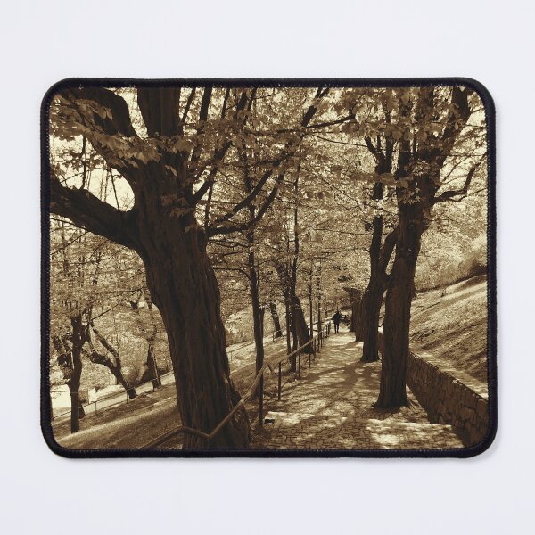 Item preview, The Hornbeam Avenue, Schlossberg, Graz 1, sepia designed and sold by paulboizot.