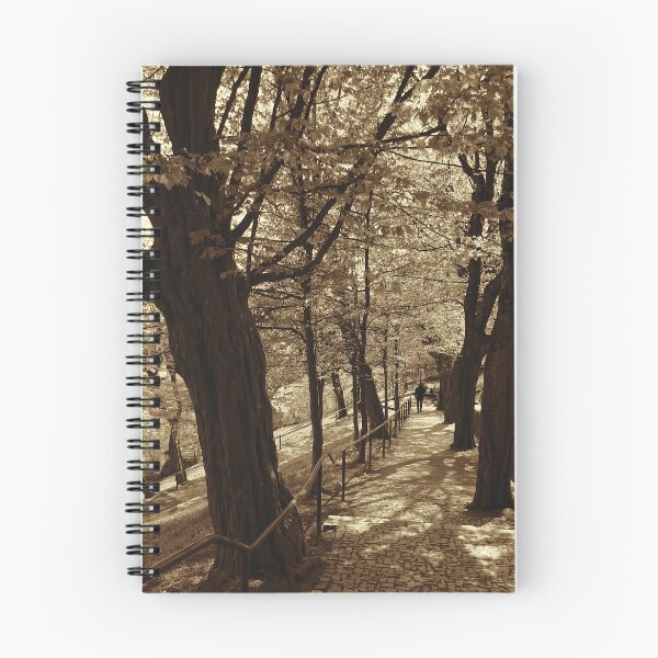 Item preview, The Hornbeam Avenue, Schlossberg, Graz 1, sepia designed and sold by paulboizot.