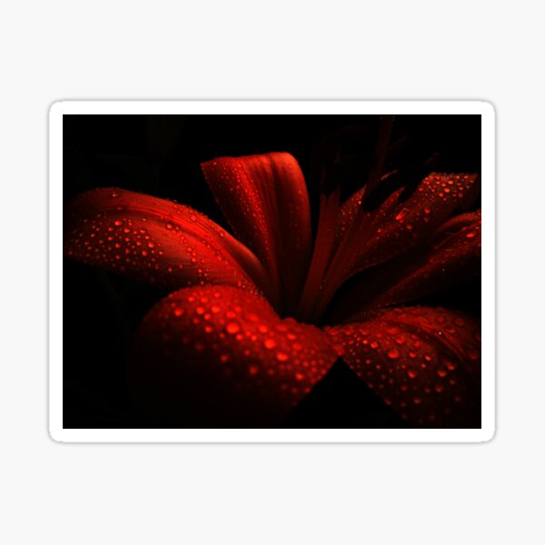 Ruby. Sticker