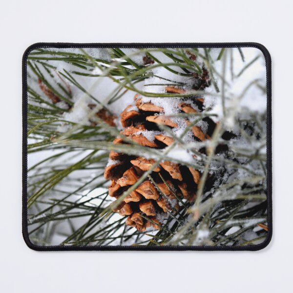 Artikelvorschau, Hidden Snowy Pinecone entworfen und verkauft von EarthUnlocked.