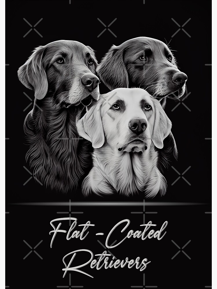 Flat coated hot sale retriever merchandise