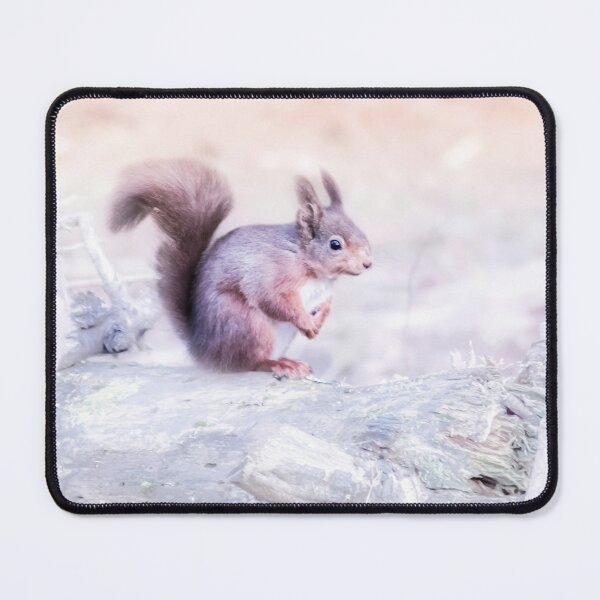 Item preview, Cute squirrel designed and sold by HaleyRedshaw.