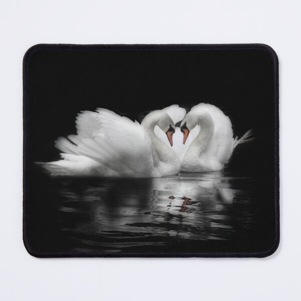Item preview, Swans in love designed and sold by HaleyRedshaw.
