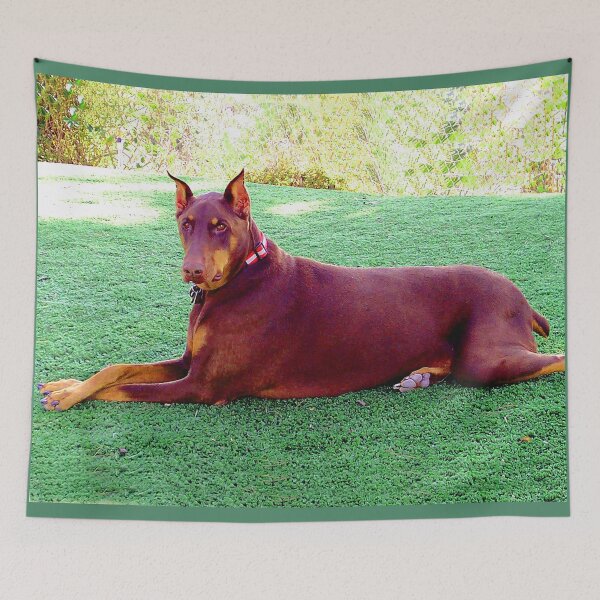 Item preview, Doberman Dog - Sky designed and sold by Carlo Varo.