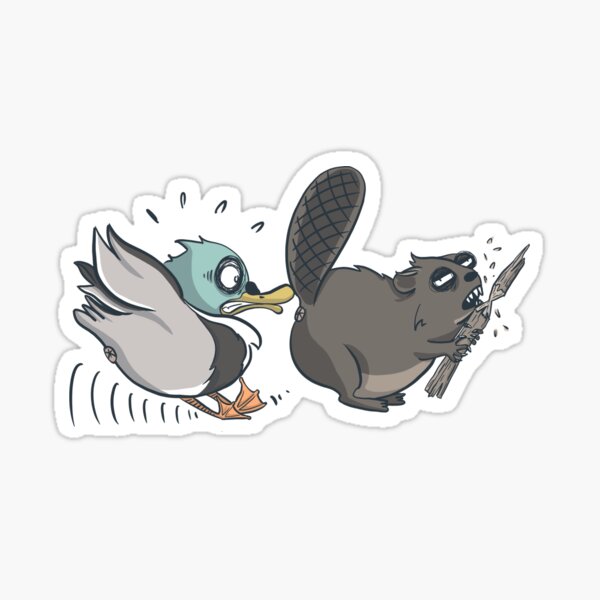 Platypus number 2/4 Sticker